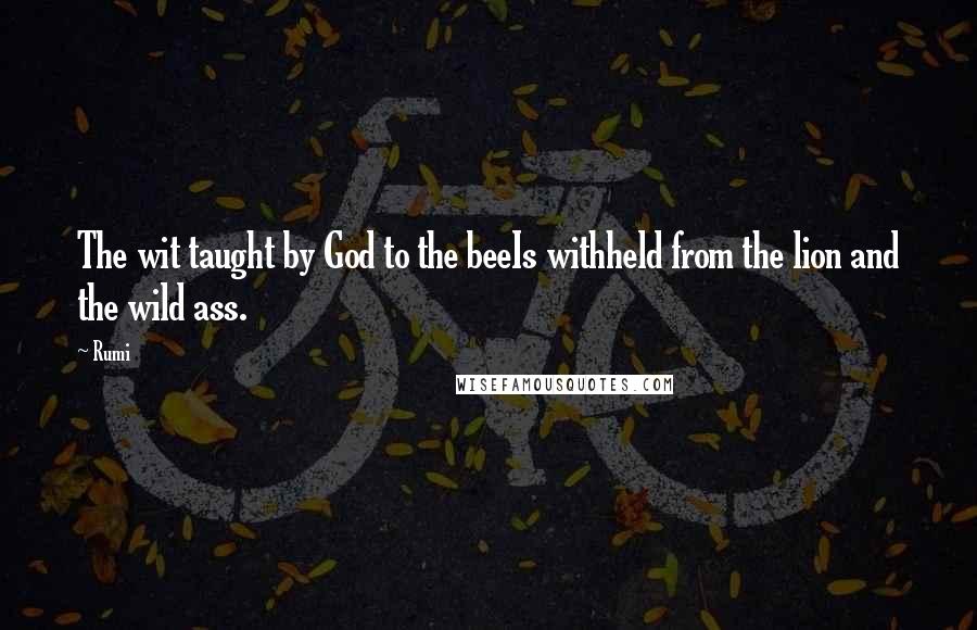 Rumi Quotes: The wit taught by God to the beeIs withheld from the lion and the wild ass.
