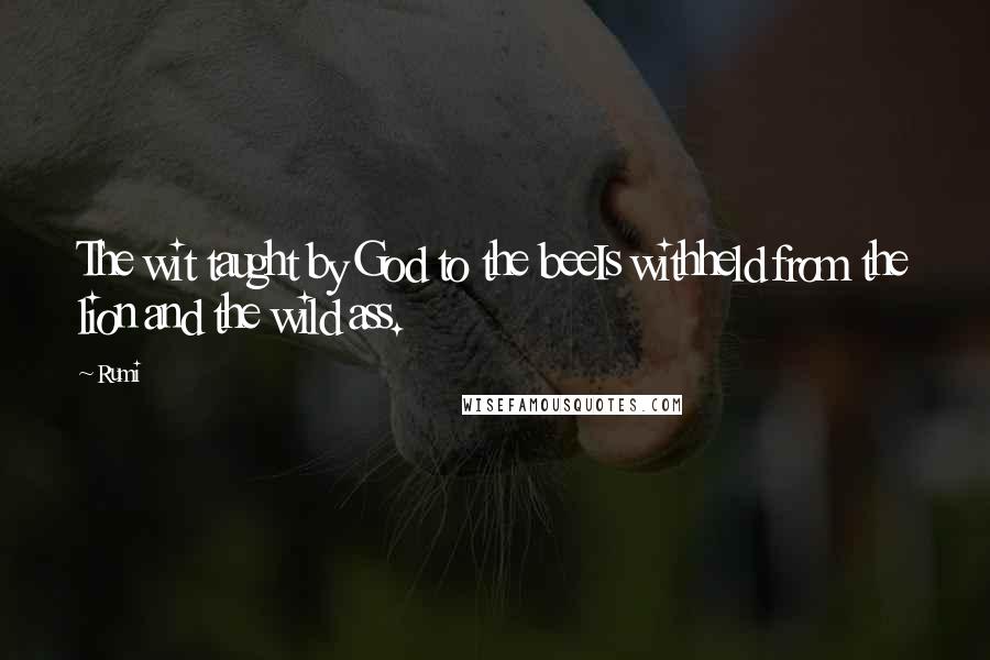 Rumi Quotes: The wit taught by God to the beeIs withheld from the lion and the wild ass.