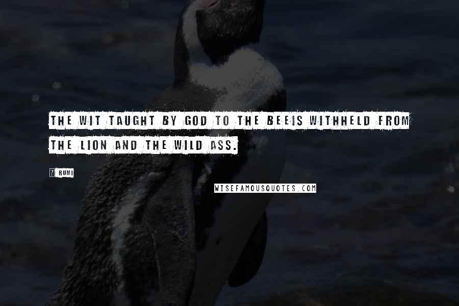 Rumi Quotes: The wit taught by God to the beeIs withheld from the lion and the wild ass.