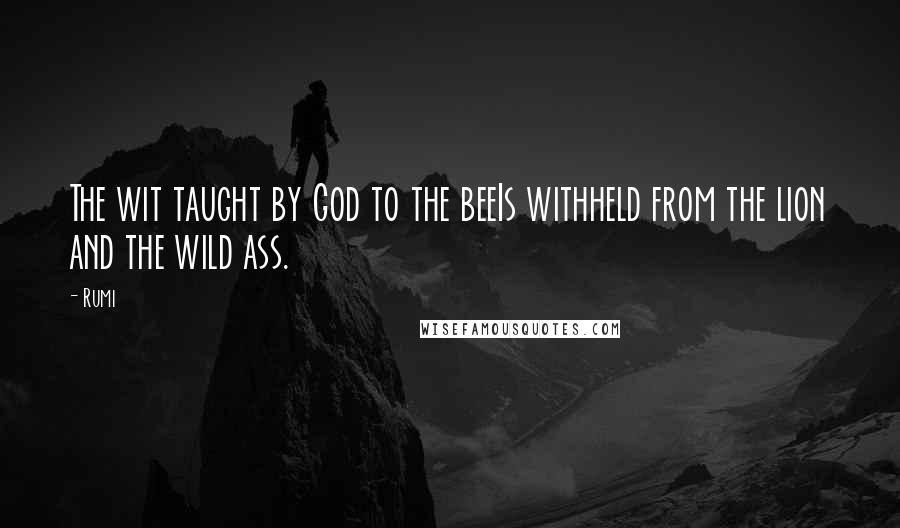 Rumi Quotes: The wit taught by God to the beeIs withheld from the lion and the wild ass.