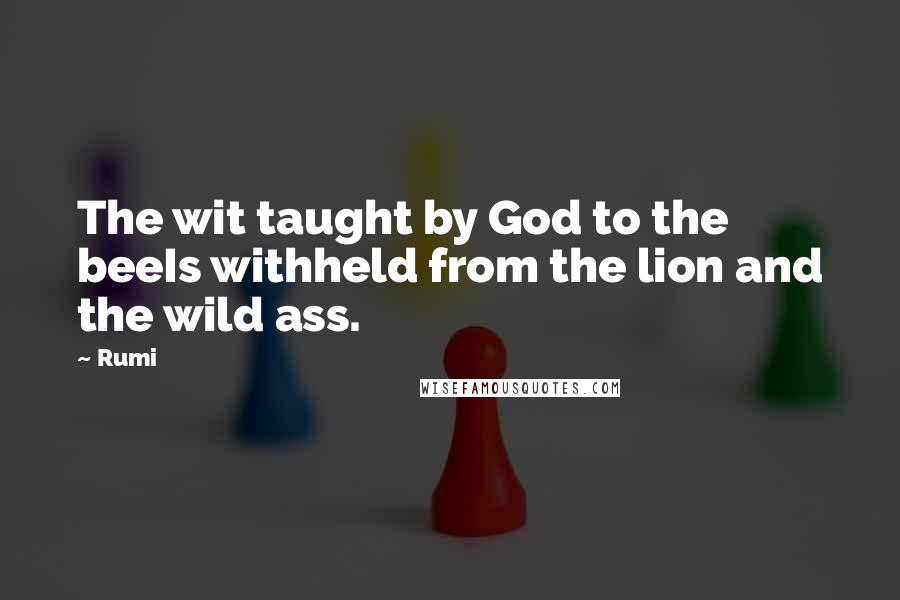 Rumi Quotes: The wit taught by God to the beeIs withheld from the lion and the wild ass.