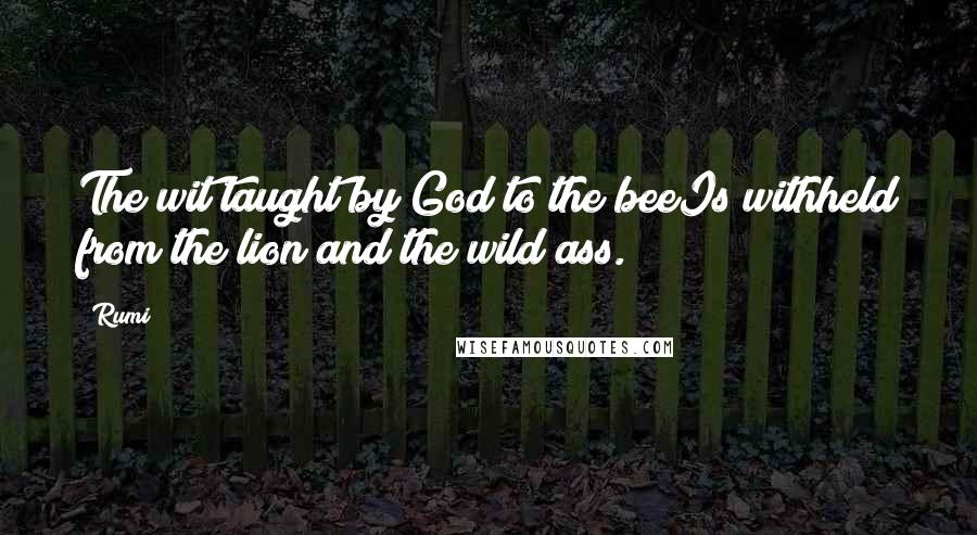 Rumi Quotes: The wit taught by God to the beeIs withheld from the lion and the wild ass.
