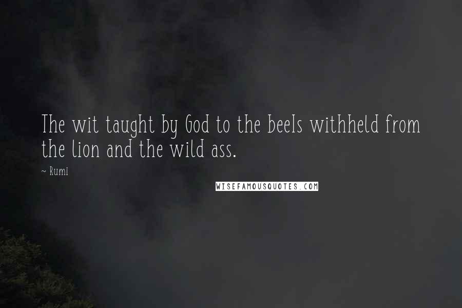 Rumi Quotes: The wit taught by God to the beeIs withheld from the lion and the wild ass.