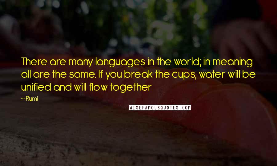 Rumi Quotes: There are many languages in the world; in meaning all are the same. If you break the cups, water will be unified and will flow together