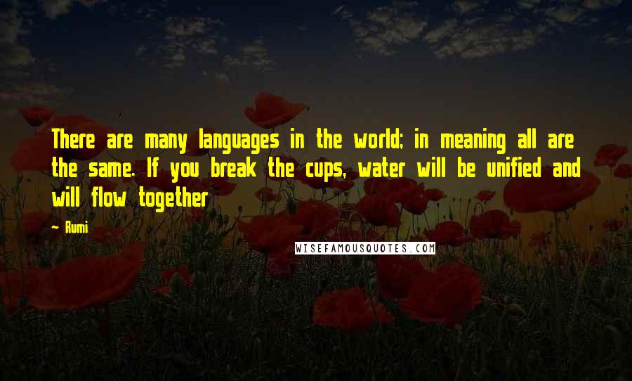 Rumi Quotes: There are many languages in the world; in meaning all are the same. If you break the cups, water will be unified and will flow together
