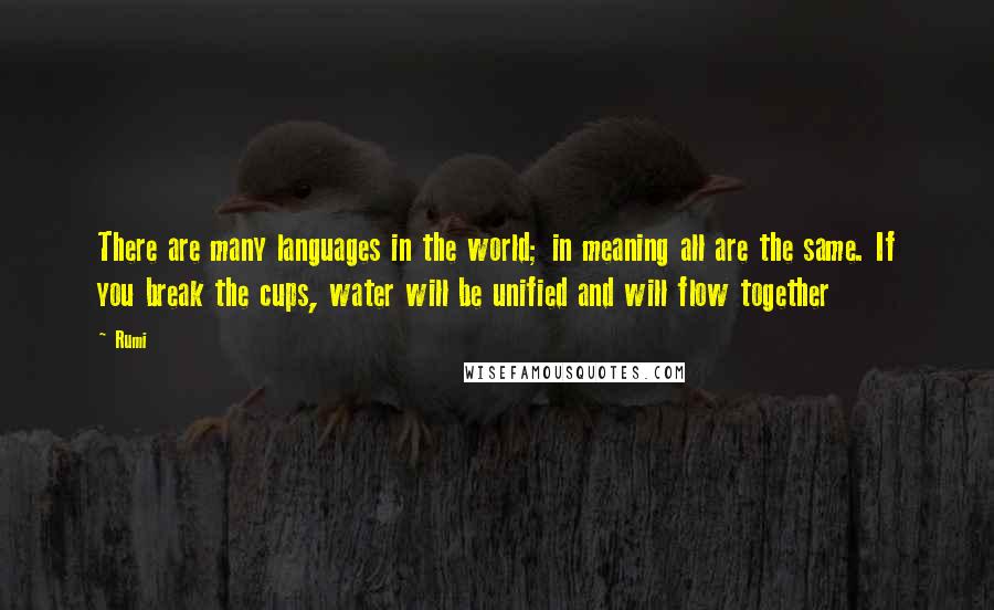 Rumi Quotes: There are many languages in the world; in meaning all are the same. If you break the cups, water will be unified and will flow together