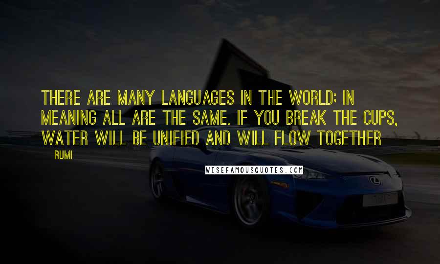 Rumi Quotes: There are many languages in the world; in meaning all are the same. If you break the cups, water will be unified and will flow together