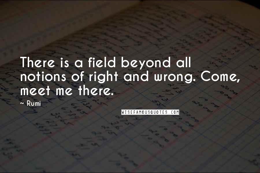 Rumi Quotes: There is a field beyond all notions of right and wrong. Come, meet me there.