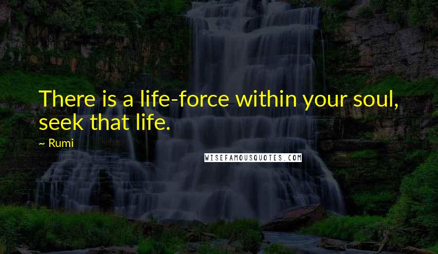 Rumi Quotes: There is a life-force within your soul, seek that life.