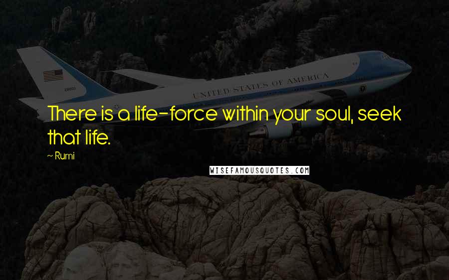 Rumi Quotes: There is a life-force within your soul, seek that life.