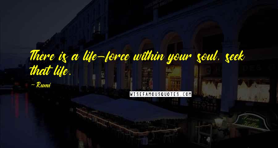 Rumi Quotes: There is a life-force within your soul, seek that life.