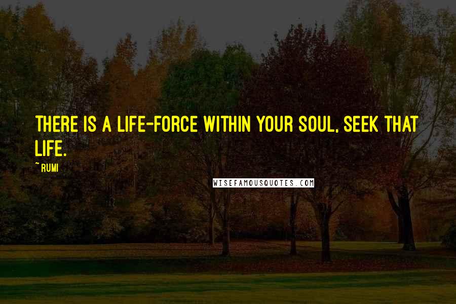 Rumi Quotes: There is a life-force within your soul, seek that life.