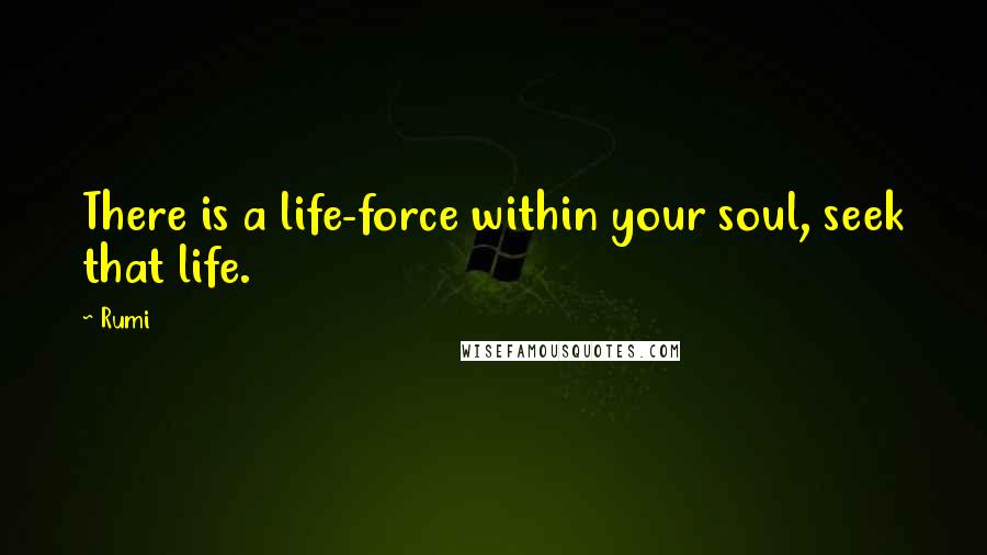 Rumi Quotes: There is a life-force within your soul, seek that life.