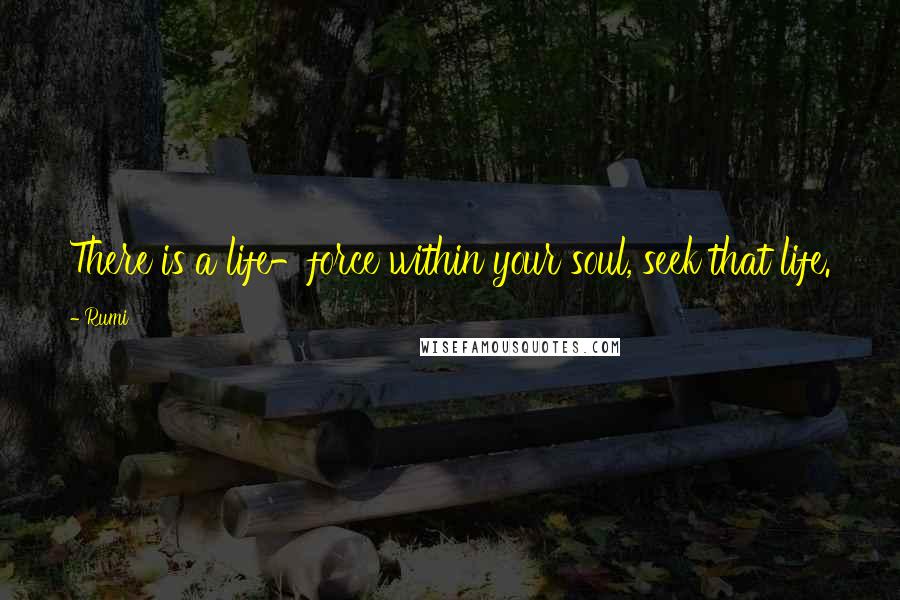 Rumi Quotes: There is a life-force within your soul, seek that life.