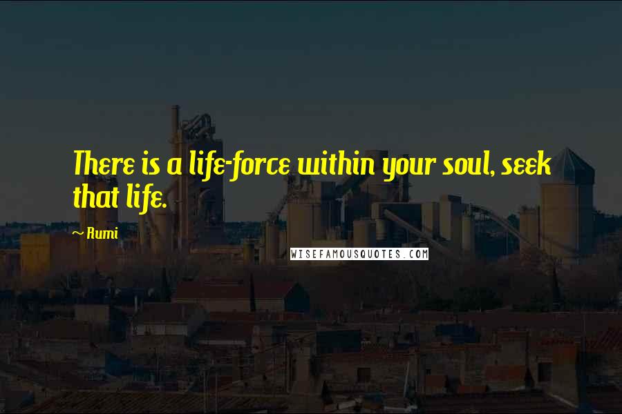 Rumi Quotes: There is a life-force within your soul, seek that life.