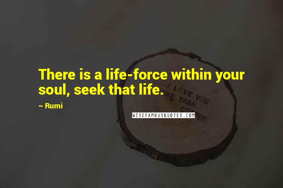 Rumi Quotes: There is a life-force within your soul, seek that life.