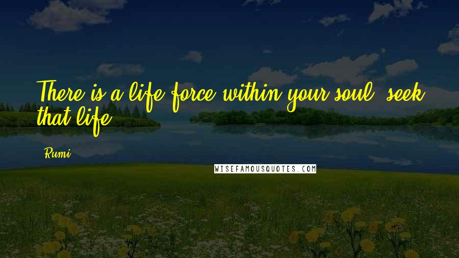 Rumi Quotes: There is a life-force within your soul, seek that life.