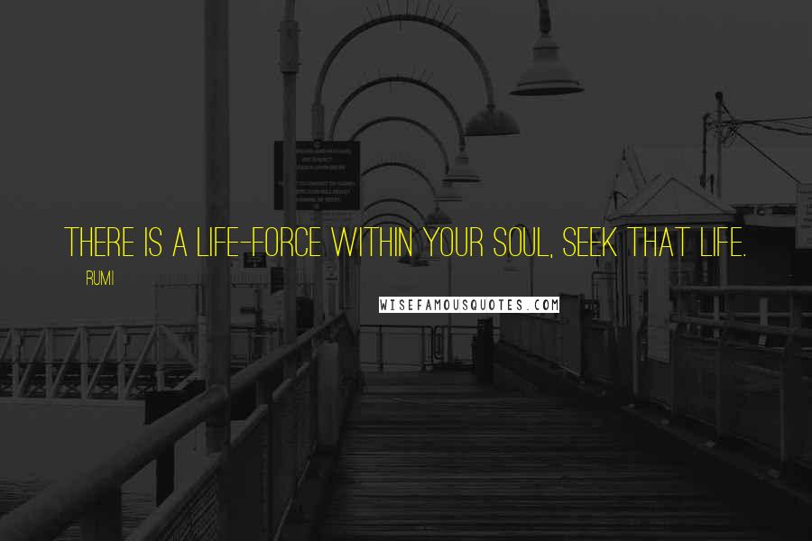 Rumi Quotes: There is a life-force within your soul, seek that life.