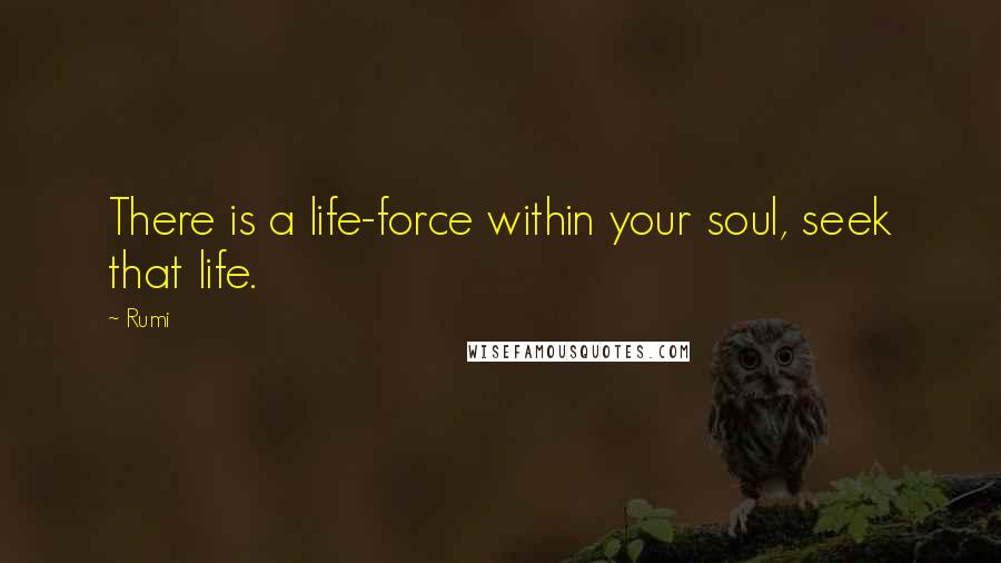 Rumi Quotes: There is a life-force within your soul, seek that life.