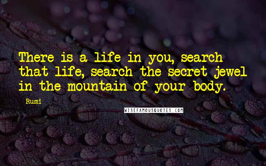 Rumi Quotes: There is a life in you, search that life, search the secret jewel in the mountain of your body.