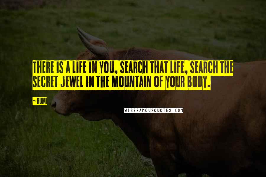 Rumi Quotes: There is a life in you, search that life, search the secret jewel in the mountain of your body.