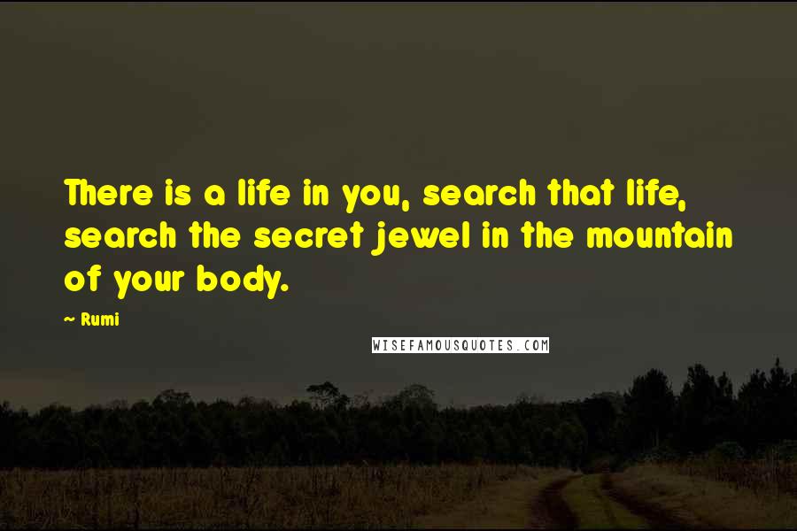 Rumi Quotes: There is a life in you, search that life, search the secret jewel in the mountain of your body.