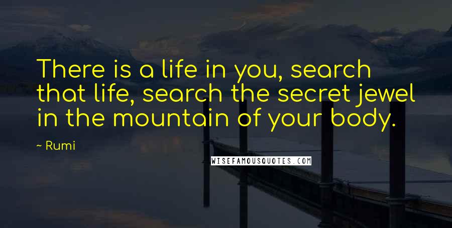 Rumi Quotes: There is a life in you, search that life, search the secret jewel in the mountain of your body.