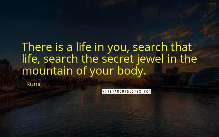 Rumi Quotes: There is a life in you, search that life, search the secret jewel in the mountain of your body.