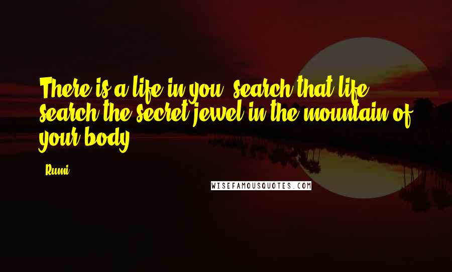 Rumi Quotes: There is a life in you, search that life, search the secret jewel in the mountain of your body.