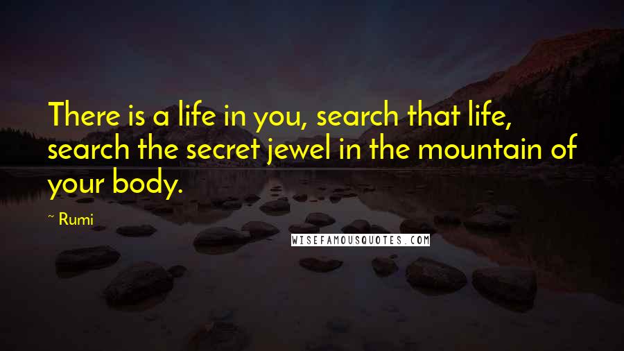 Rumi Quotes: There is a life in you, search that life, search the secret jewel in the mountain of your body.