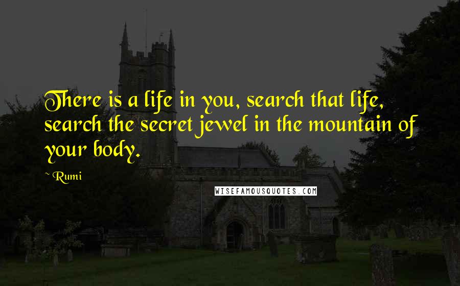 Rumi Quotes: There is a life in you, search that life, search the secret jewel in the mountain of your body.