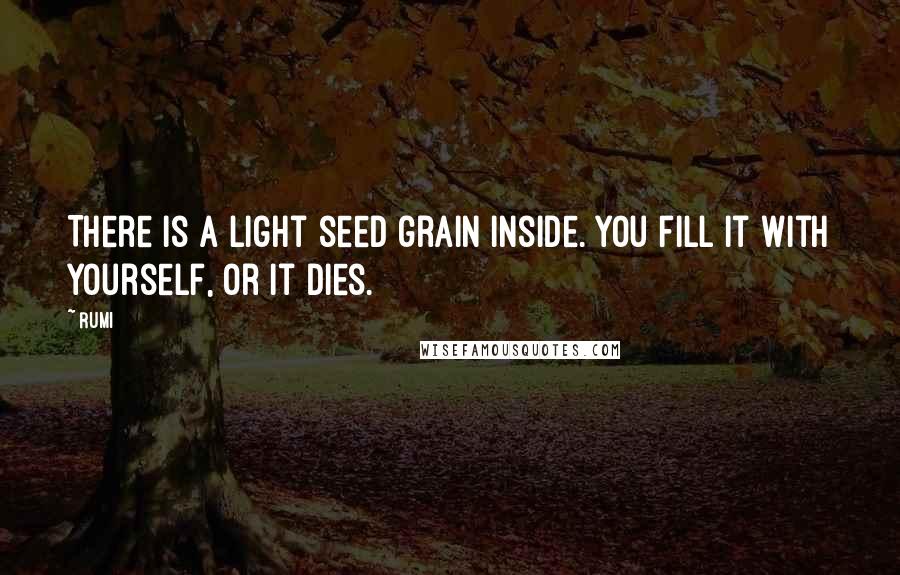 Rumi Quotes: There is a light seed grain inside. You fill it with yourself, or it dies.