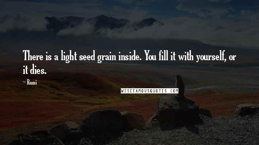 Rumi Quotes: There is a light seed grain inside. You fill it with yourself, or it dies.