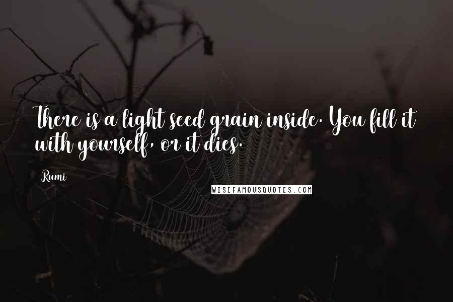 Rumi Quotes: There is a light seed grain inside. You fill it with yourself, or it dies.