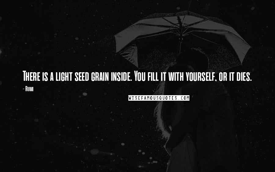 Rumi Quotes: There is a light seed grain inside. You fill it with yourself, or it dies.