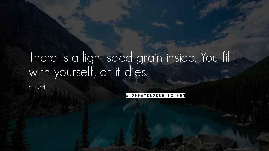 Rumi Quotes: There is a light seed grain inside. You fill it with yourself, or it dies.