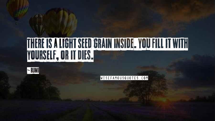 Rumi Quotes: There is a light seed grain inside. You fill it with yourself, or it dies.