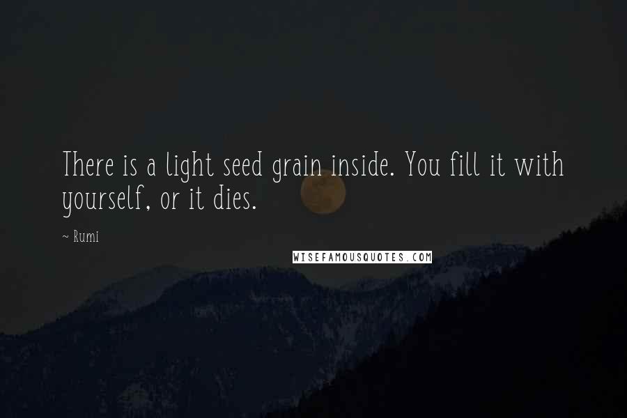 Rumi Quotes: There is a light seed grain inside. You fill it with yourself, or it dies.