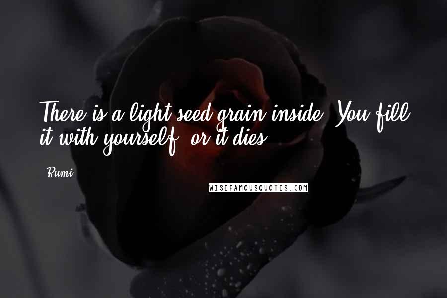 Rumi Quotes: There is a light seed grain inside. You fill it with yourself, or it dies.