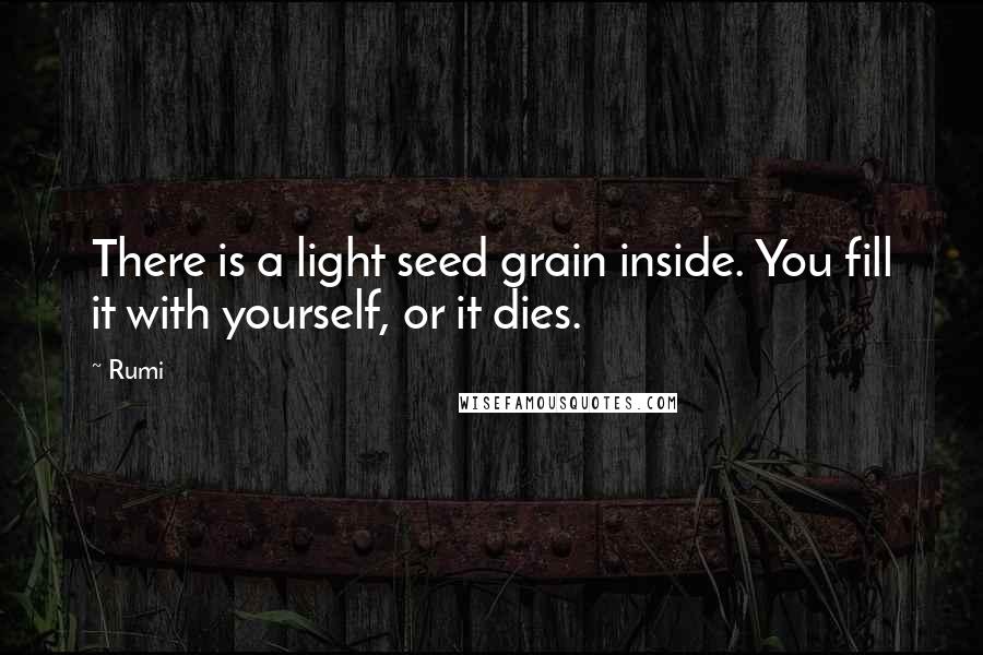 Rumi Quotes: There is a light seed grain inside. You fill it with yourself, or it dies.