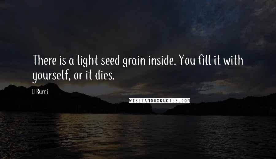 Rumi Quotes: There is a light seed grain inside. You fill it with yourself, or it dies.