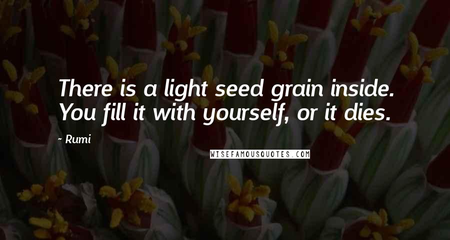 Rumi Quotes: There is a light seed grain inside. You fill it with yourself, or it dies.
