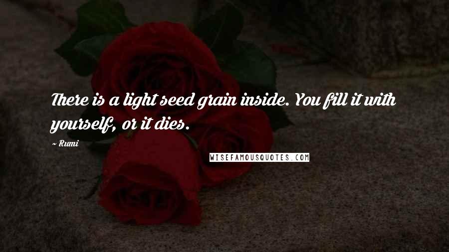 Rumi Quotes: There is a light seed grain inside. You fill it with yourself, or it dies.