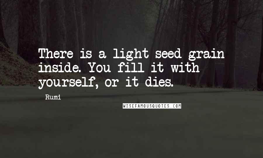 Rumi Quotes: There is a light seed grain inside. You fill it with yourself, or it dies.