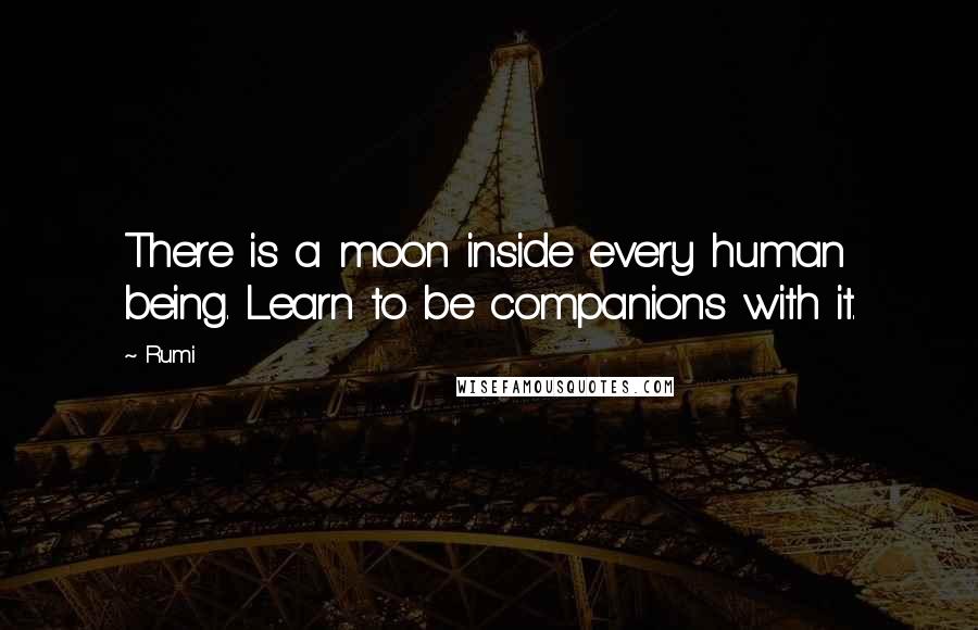 Rumi Quotes: There is a moon inside every human being. Learn to be companions with it.