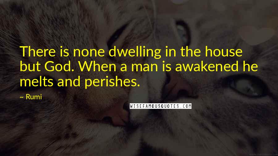 Rumi Quotes: There is none dwelling in the house but God. When a man is awakened he melts and perishes.