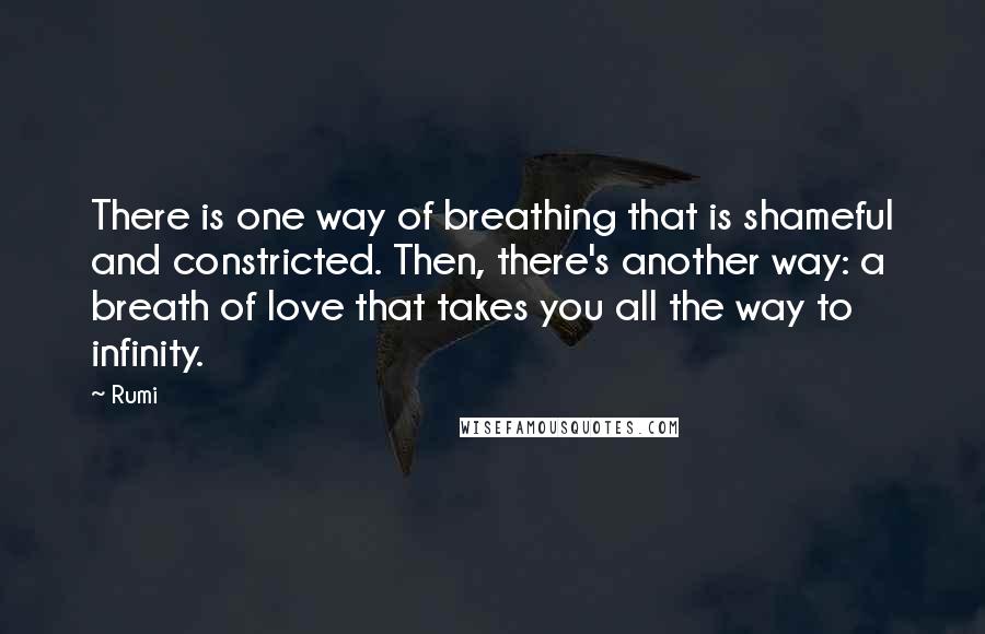 Rumi Quotes: There is one way of breathing that is shameful and constricted. Then, there's another way: a breath of love that takes you all the way to infinity.