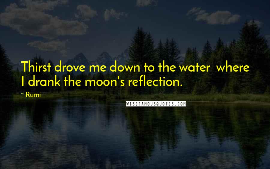 Rumi Quotes: Thirst drove me down to the water  where I drank the moon's reflection.
