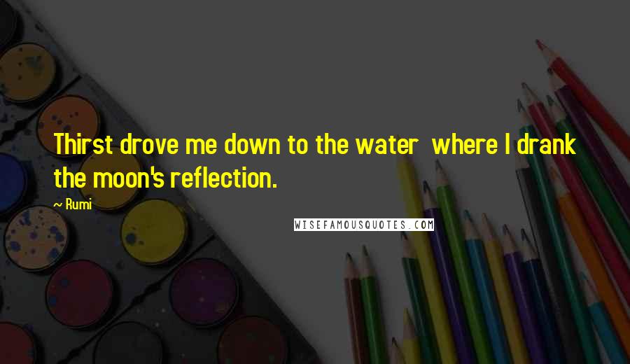 Rumi Quotes: Thirst drove me down to the water  where I drank the moon's reflection.