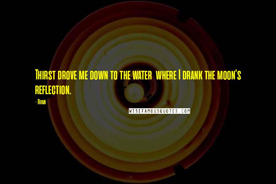 Rumi Quotes: Thirst drove me down to the water  where I drank the moon's reflection.